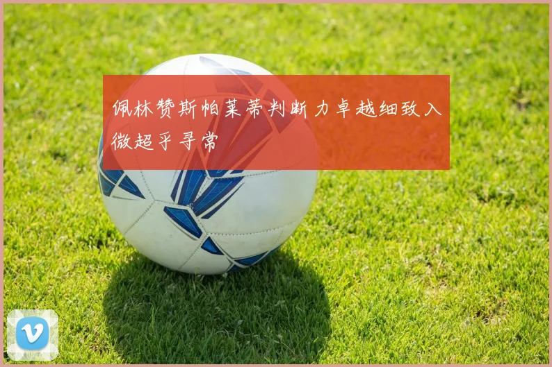 佩林赞斯帕莱蒂判断力卓越细致入微超乎寻常