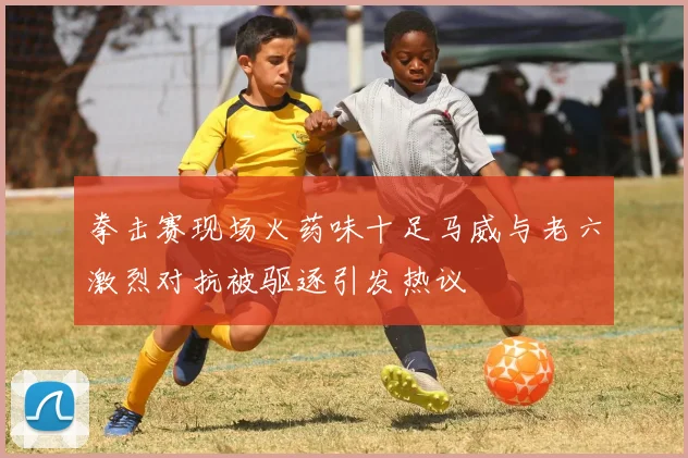 拳击赛现场火药味十足马威与老六激烈对抗被驱逐引发热议