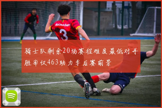 骑士队剩余20场赛程难度最低对手胜率仅463助力季后赛前景